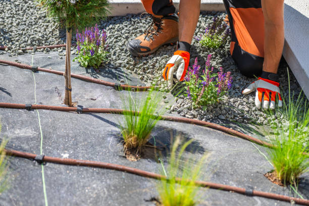istockphoto-2165427342-612x612