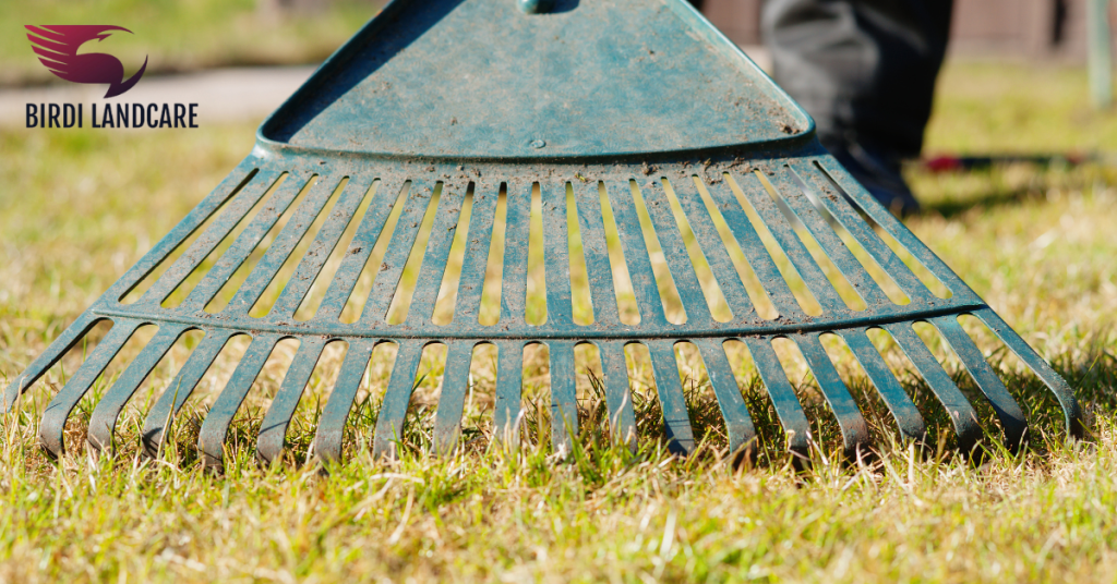 Grass-Clippings-Birdi-Landcare