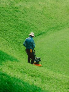 Grass Mowing Services in New Zealand