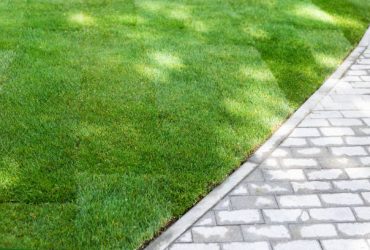 Straigh line of new freshly installed green rolled lawn grass carpet along stone pavement sidewalk at city park or backyard on bright sunny day. Green Gardening landcaping service.