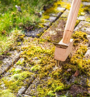 Removing and scratching moss out of paving stones, cleaning terrace and patio