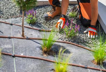 A gardener works meticulously in a gravel landscape, carefully placing small plants around a drip irrigation line. The scene captures the vibrant colors of the plants, enhancing the outdoor space while ensuring efficient watering under the warm sun.