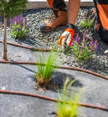 A gardener works meticulously in a gravel landscape, carefully placing small plants around a drip irrigation line. The scene captures the vibrant colors of the plants, enhancing the outdoor space while ensuring efficient watering under the warm sun.